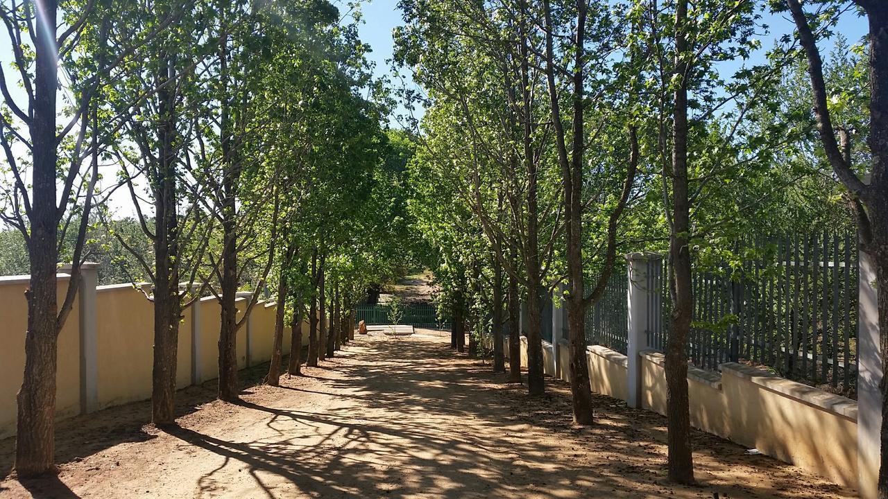 Amberhall Guesthouse Johannesburg Eksteriør bilde