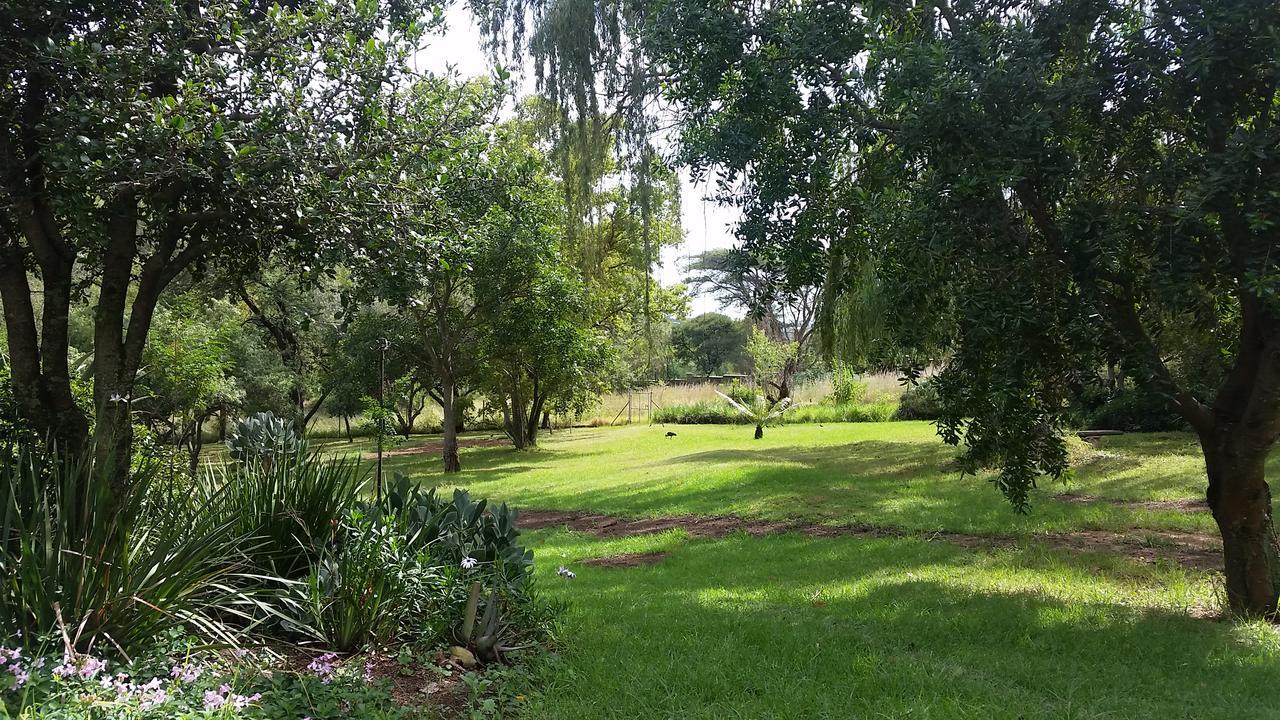 Amberhall Guesthouse Johannesburg Eksteriør bilde